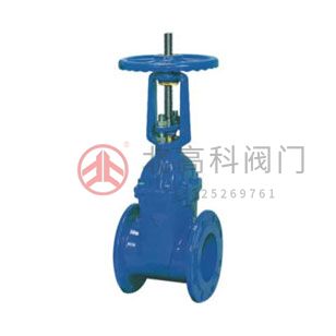 Z45X-10、Z45X-16 彈性座封閘閥
